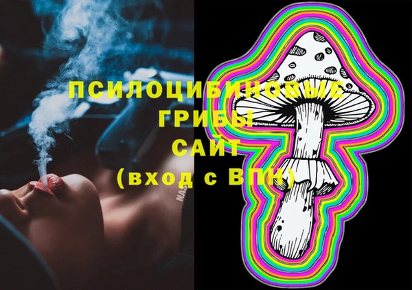 крисы Армянск
