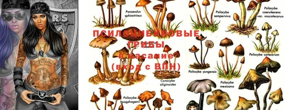 герыч Баксан
