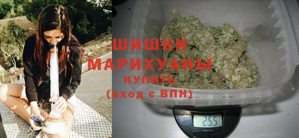дмт Арсеньев