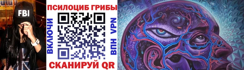 Псилоцибиновые грибы GOLDEN TEACHER  где купить наркотик  Семикаракорск 